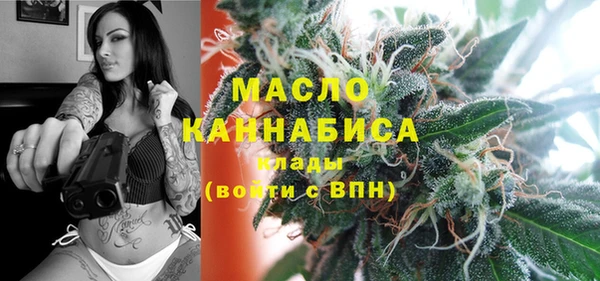 винт Лагань